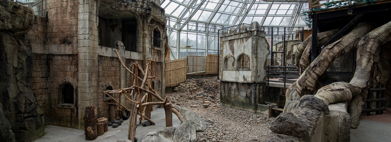 Le zoo abandonné