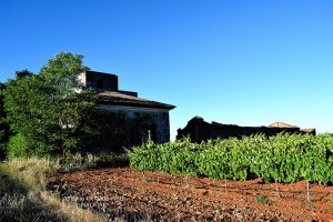 The Abandoned Aerodrome