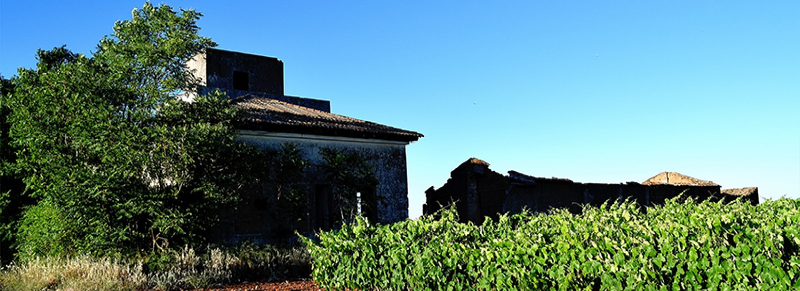 The Abandoned Aerodrome