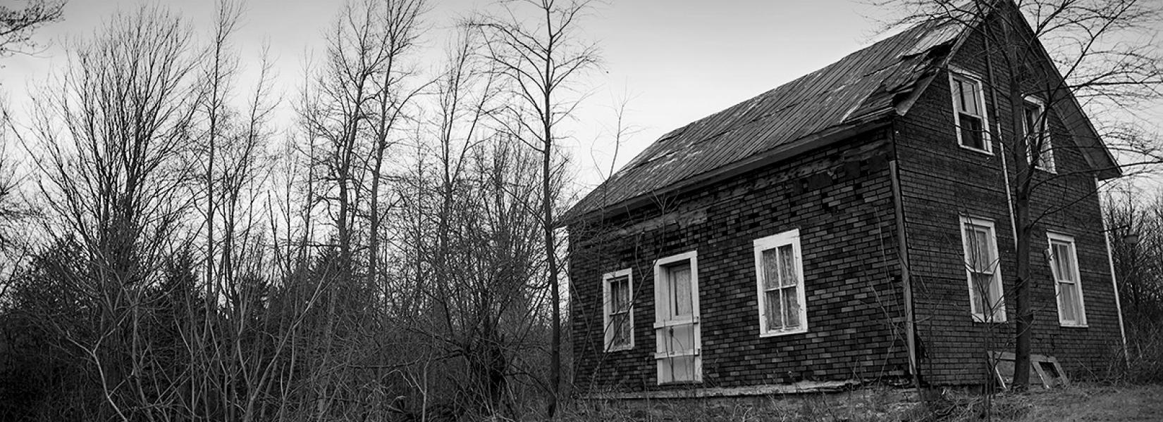 The flowered suitcase's house