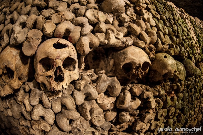 The Catacombs of Paris