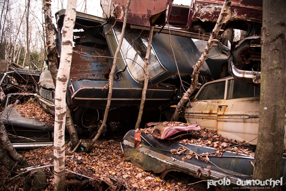 The old scrap yard The old scrap yard
