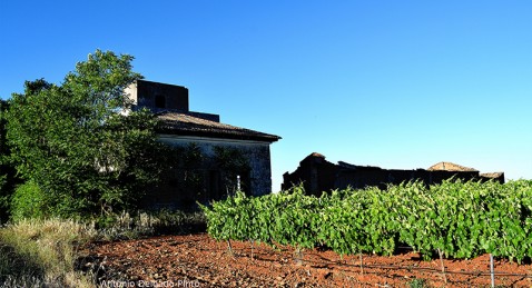 The Abandoned Aerodrome