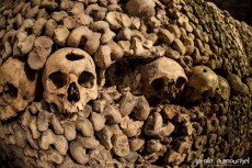 The Catacombs of Paris