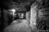 The Catacombs of Paris