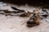 La vieille mine d'amiante abandonnée